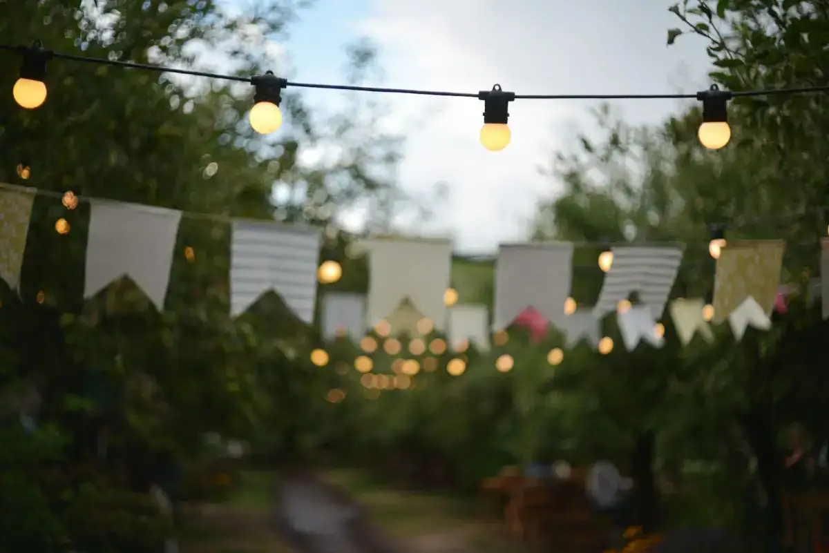 Bunting and festoon lights strung across a garden ready for a party